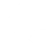 League of Legends: Wild Rift